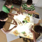 Natural Pod STEM Curiosity Set; Light Table, Nature Table and Stools