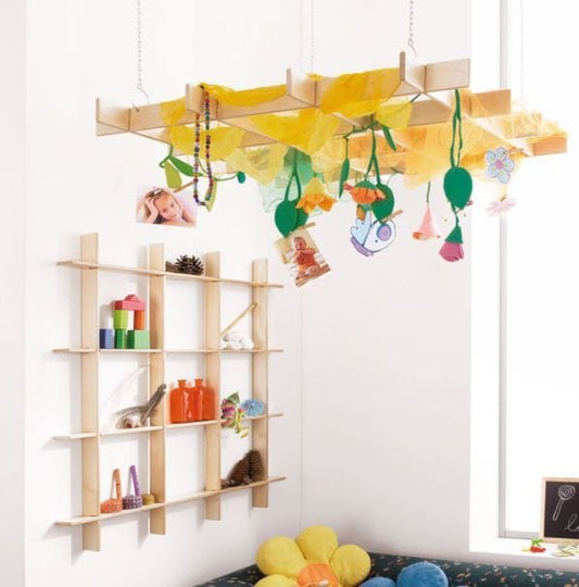 HABA Pro Hanging Canopy or Wall Shelf