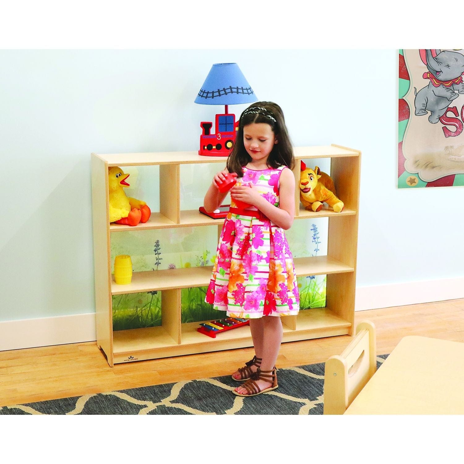 Storage and Cabinets