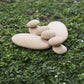 Wood Stacker River Stones